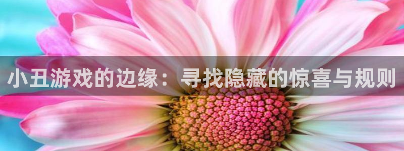 沐鸣2代理注册