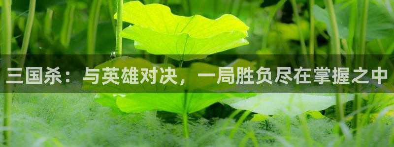 沐鸣2娱乐平台登录