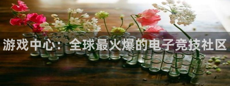 沐鸣2app：游戏中心：全球最火爆的电子竞技社区