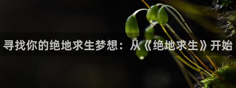 沐鸣2是什么类型的游戏